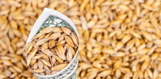 Economía incluye más productos de economías regionales en el dólar agro Dólar agro