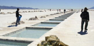 Jujuy: el litio como clave para el futuro productivo del país Litio en Jujuy