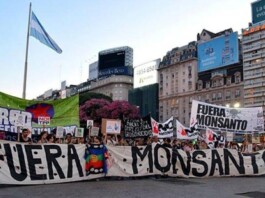 Marcha contra agrotóxicos y transgénicos