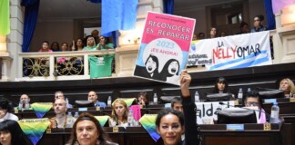 Debaten el proyecto de pensión reparatoria para travestis y trans reparación histórica