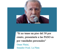 Omar Plaini