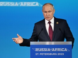 Putin enviará granos gratis a seis países africanos