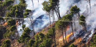 Al menos 50 muertos por incendios en el Mediterráneo Incendios en el Mediterraneo