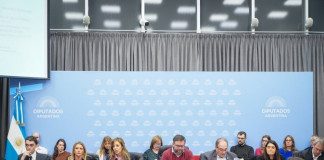 Royón defendió el proyecto de GNL en Diputados Royón defendió el proyecto de GNL en Diputados