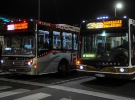 Colectivos