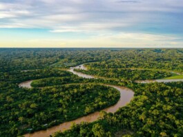 La Cumbre Amazónica de Lula busca imponer la diplomacia del cambio climático