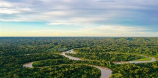La Cumbre Amazónica de Lula busca imponer la diplomacia del cambio climático La Cumbre Amazónica de Lula busca imponer la diplomacia del cambio climático