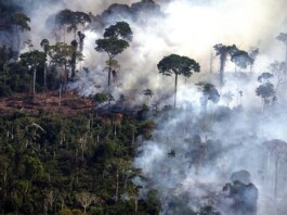 Con divergencias sobre petróleo entre Brasil y Colombia, arranca la cumbre amazónica