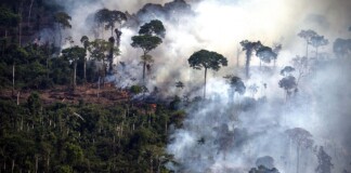 Con divergencias sobre petróleo entre Brasil y Colombia, arranca la cumbre amazónica Con divergencias sobre petróleo entre Brasil y Colombia, arranca la cumbre amazónica