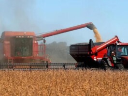 El BID aprobó un préstamo por US$ 100 millones para agroindustria