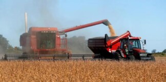El BID aprobó un préstamo por US$ 100 millones para agroindustria El BID aprobó un préstamo por US$ 100 millones para agroindustria