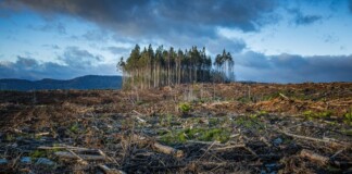 Ministros de Ambiente de Latinoamérica buscan acordar una propuesta para la COP28 Cambio Climático