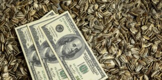 Dólar agro: el Gobierno incluye más productos de economías regionales dólar agro el gobierno incluye nuevos productos