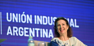 Mondino afirmó que si el Congreso no aprueba leyes clave, se puede hacer «por decreto» Mondino