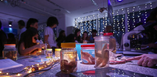 Mañana se celebra la Noche de la Ciencia con entrada libre y gratuita Ciencia