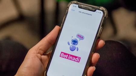 Bot-Inadi Bot