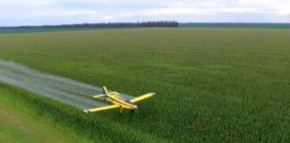 La UE renovará la autorización del uso de glifosato por 10 años glifosato