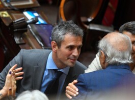Martín Menem Cámara de Diputados