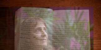 ¿De dónde viene un libro?