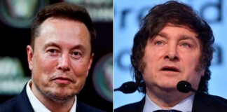 Javier Milei le respondió a Elon Musk: «Tenemos que hablar» Milei autorizó a Elon Musk