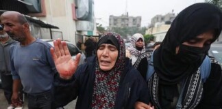 Más de 15.900 palestinos murieron en Gaza desde el 7 de octubre Más de 15.900 palestinos murieron en Gaza desde el 7 de octubre