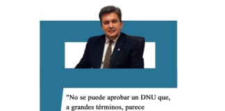 Zimmermann: «No se puede aprobar un DNU que, en grandes términos, parece inconstitucional» Zimmermann