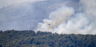 Avanza el incendio en el Parque Nacional Los Alerces incendio