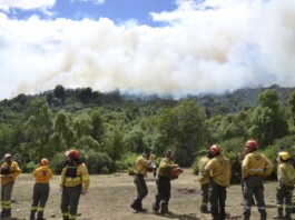 incendio forestal chubut