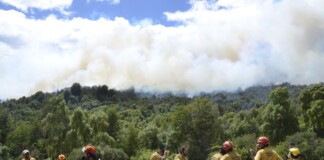 El incendio en Los Alerces continúa incontrolable y avanza a otras ciudades de Chubut incendio forestal chubut