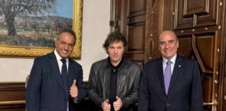 Scioli, Adorni, Serenellini y otros funcionarios ya tienen nombramiento oficial
