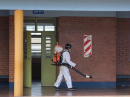 Dengue