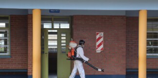 Confirmaron más de 151 mil casos de dengue y la cifra de muertos asciende a 106 Dengue