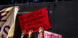 Alertan que Milei frenó las políticas públicas de prevención y asistencia a víctimas de violencia de género violencia de género
