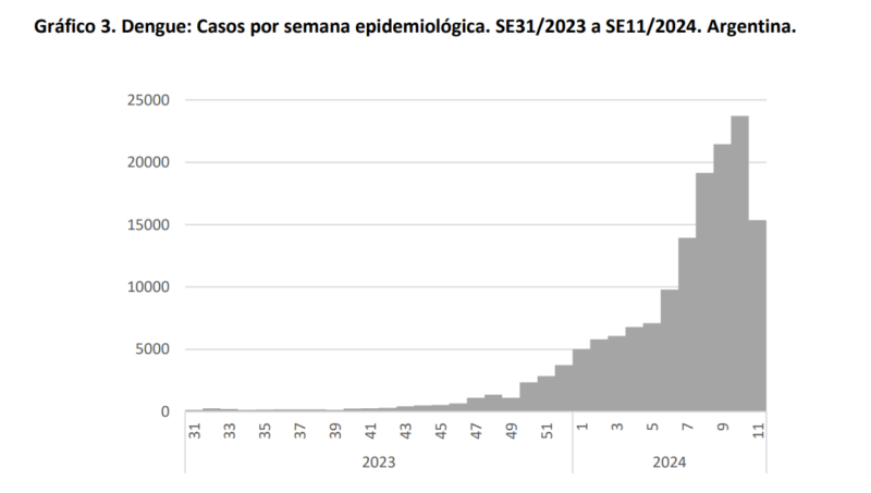 casos dengue 2023-2024 25 de marzo 2024