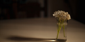 UN CORAZÓN BLANCO