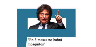 Milei: «En 3 meses no habrá mosquitos» Milei