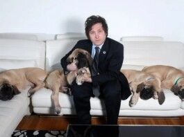 Perros