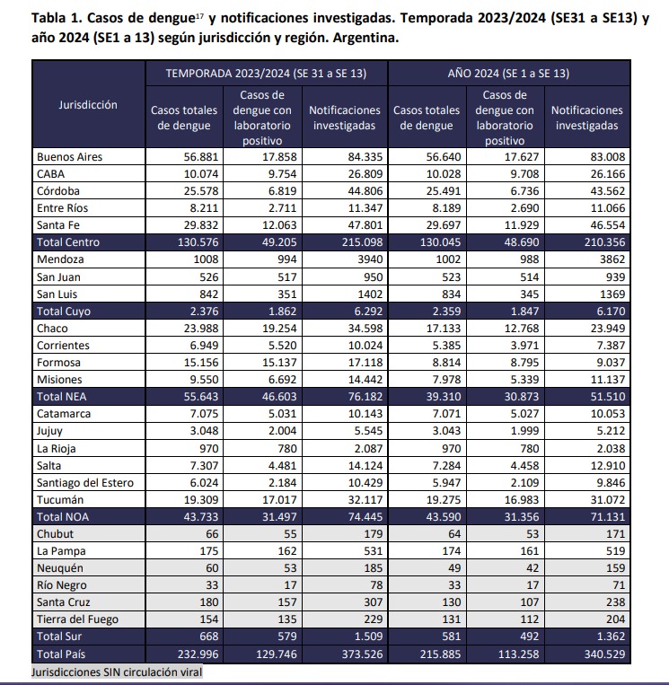 dengue informe