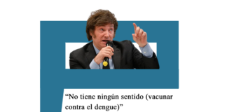 Milei dijo que «no tiene sentido» aplicar la vacuna, que puede proteger con una eficacia del 84 por ciento contra el dengue grave Dengue
