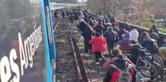 La línea Roca restableció su servicio Roca