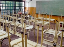 Docentes