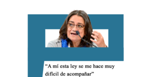 Lucía Corpacci: «A mi esta ley se me hace muy difícil de acompañar» Corpacci