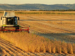 Inmobiliario Rural