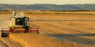 La Justicia le volvió a dar la razón a Kicillof en la polémica por el Inmobiliario Rural Inmobiliario Rural