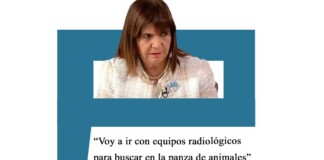 Bullrich: «Voy a ir con equipos radiológicos para buscar en la panza de animales» Bullrich