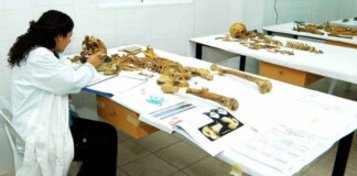 Tras 47 años fueron identificados los restos de un desaparecido por la dictadura