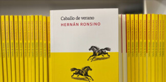 En agosto llegará «Caballo de verano», el nuevo libro de cuentos de Hernán Ronsino