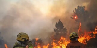 Incendios forestales: Córdoba declaró el estado de desastre