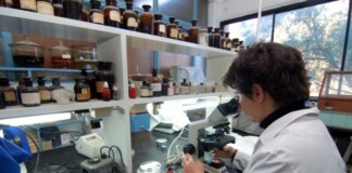 La ONU premió un medicamento innovador desarrollado por científicos argentinos