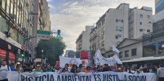 El RIGI enfrenta al país a una eventual apropiación de recursos naturales por los próximos 30 años